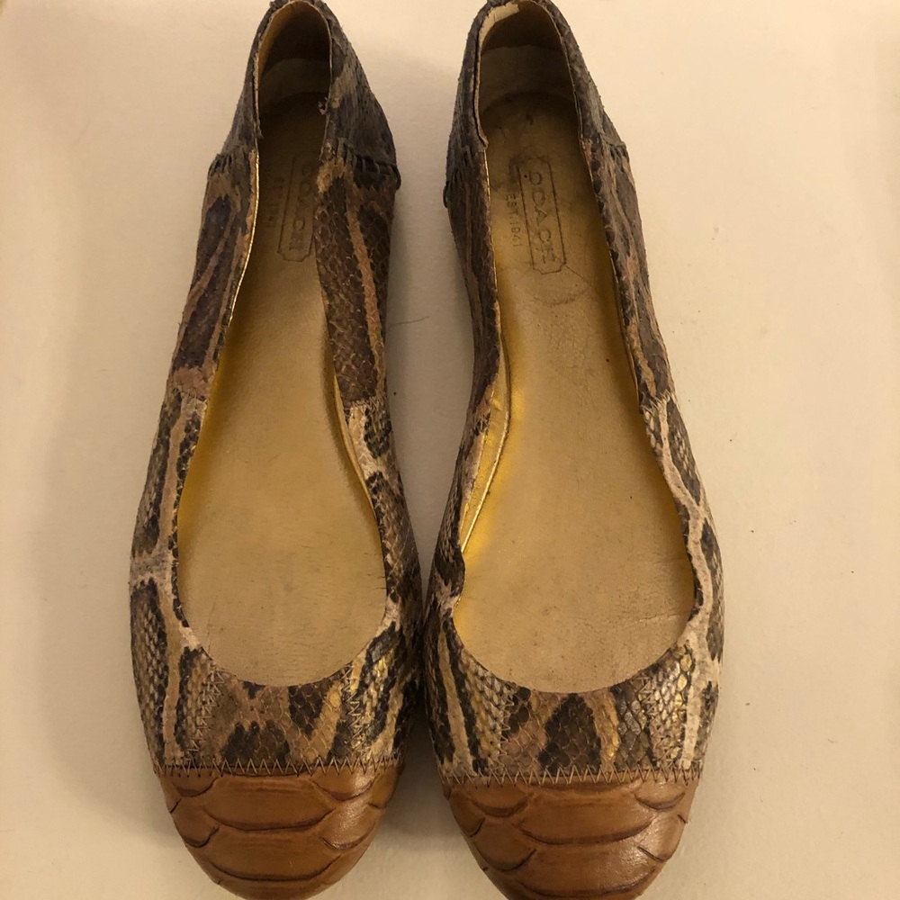 Snake skin flats in EUC